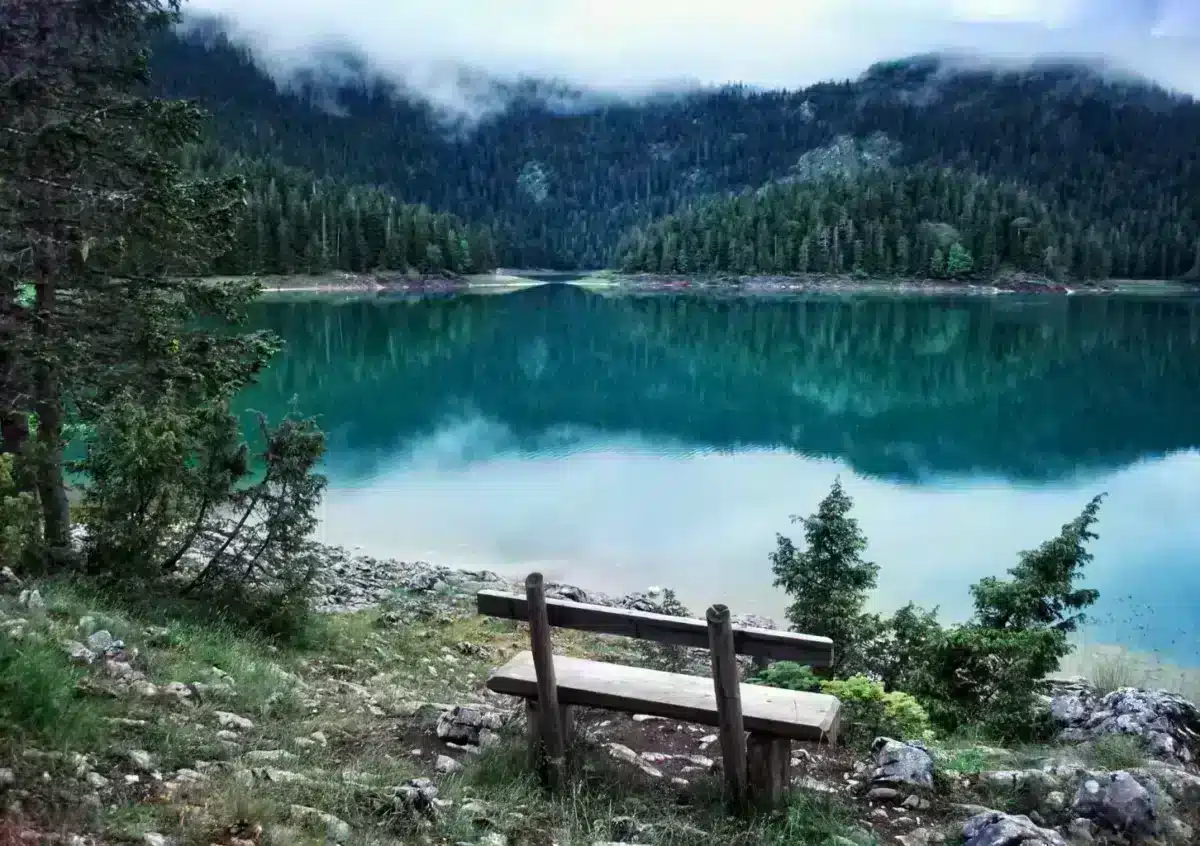 Parco nazionale del Durmitor, escursione "Crno Jezero", mancanza nera
