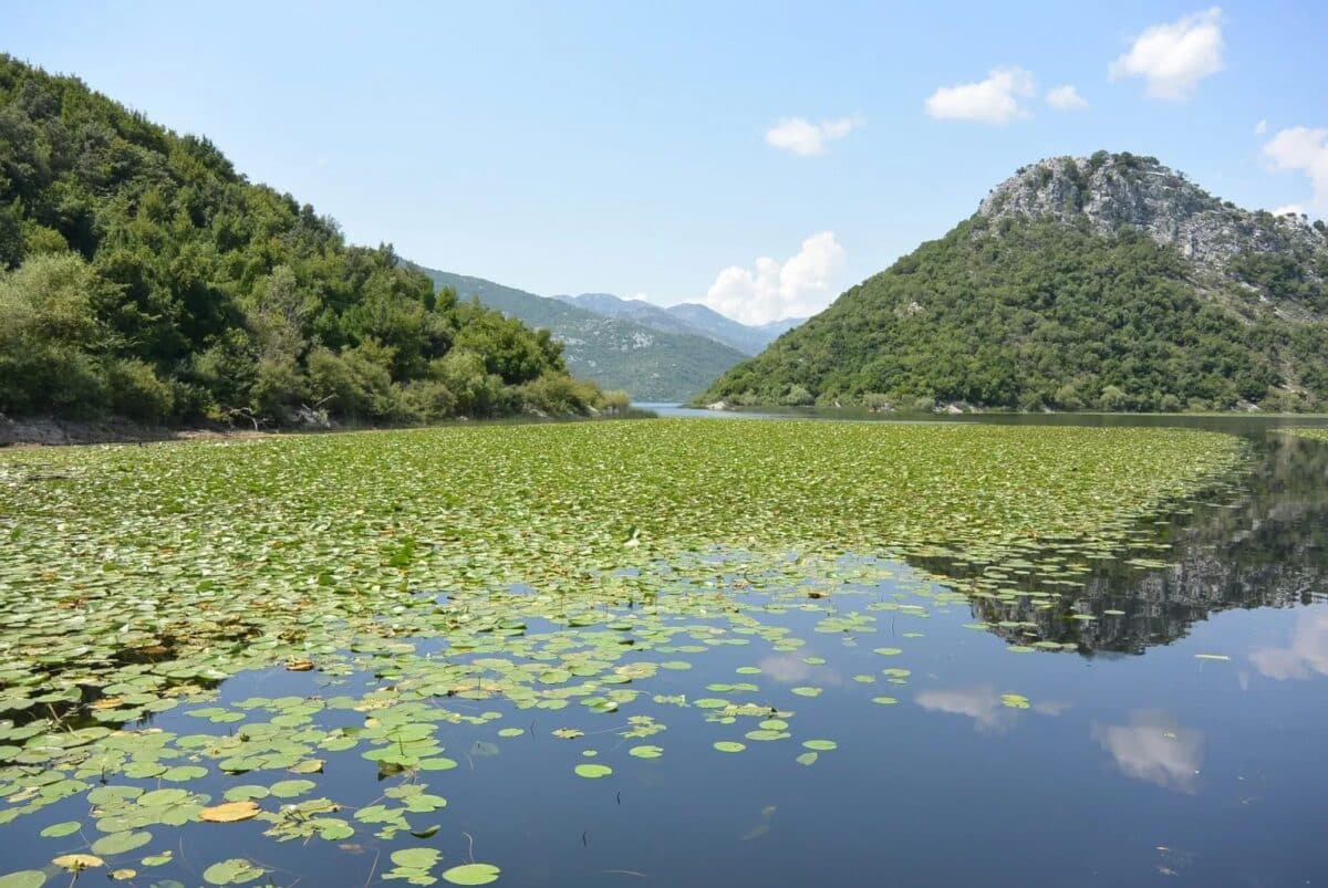 Lago di Skadar Montenegro