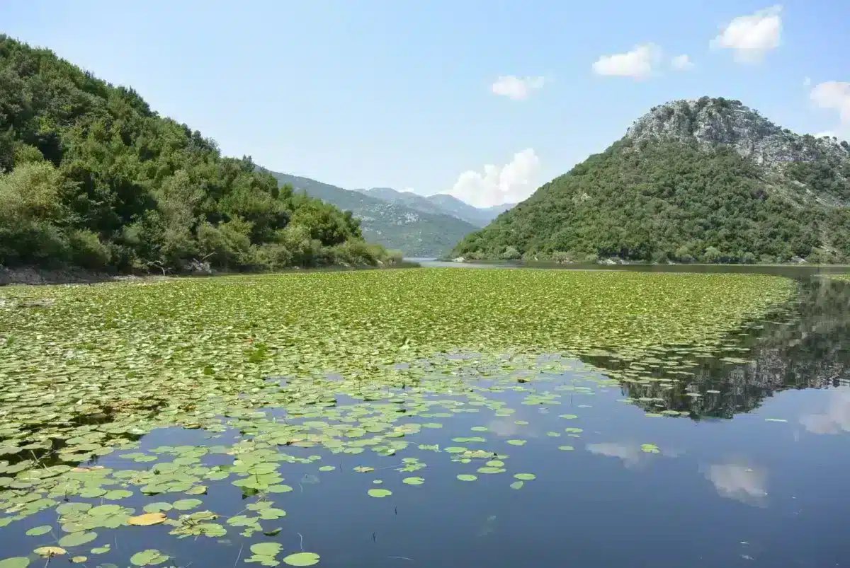 Montenegro: 7 esperienze da provare tra mare e montagna