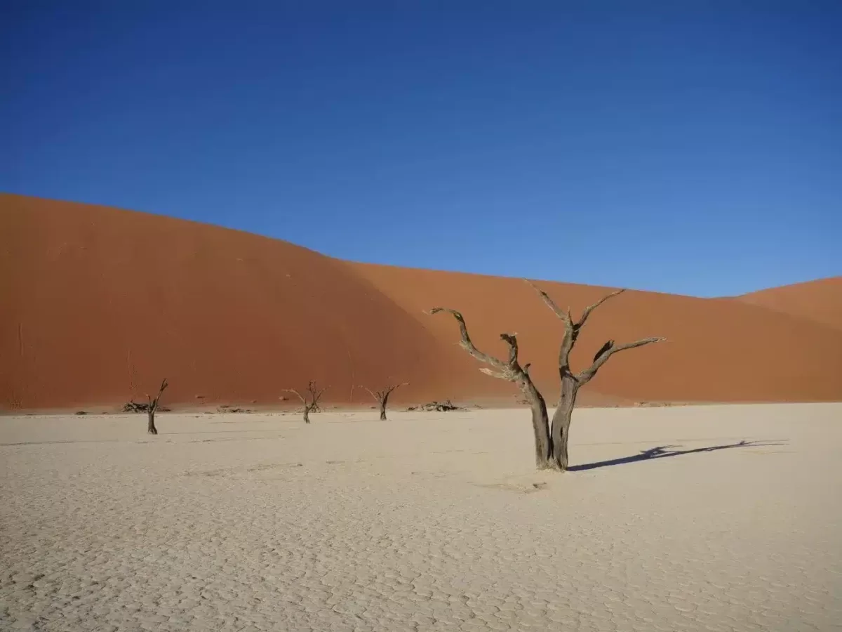 Namibia im November: Klima, Safari, Aktivitäten und Reisehinweise Namibia