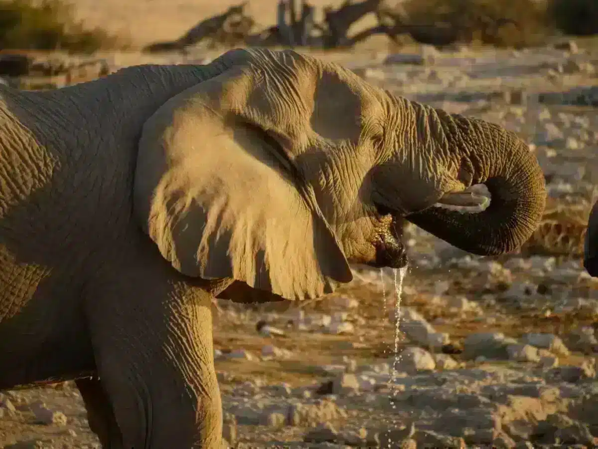 Namibia