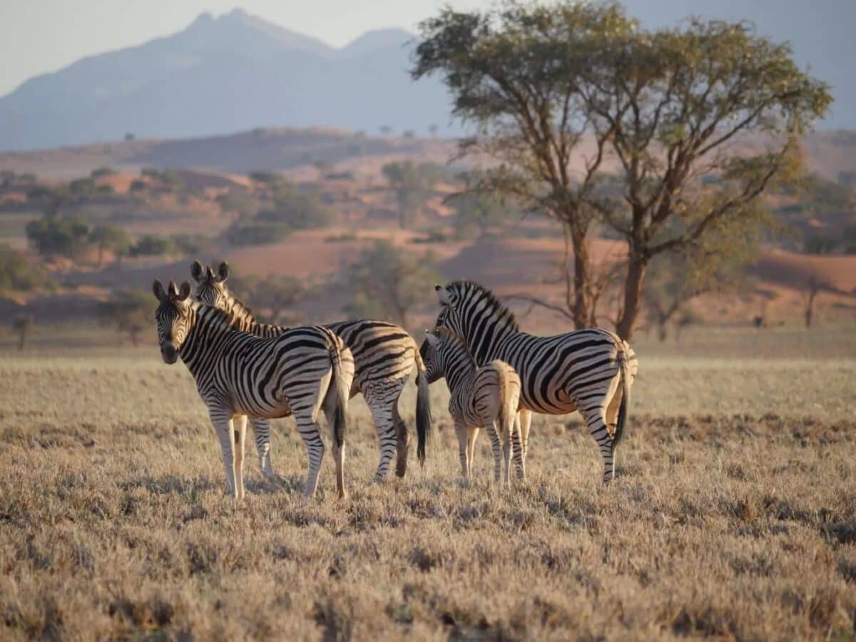 Namibia