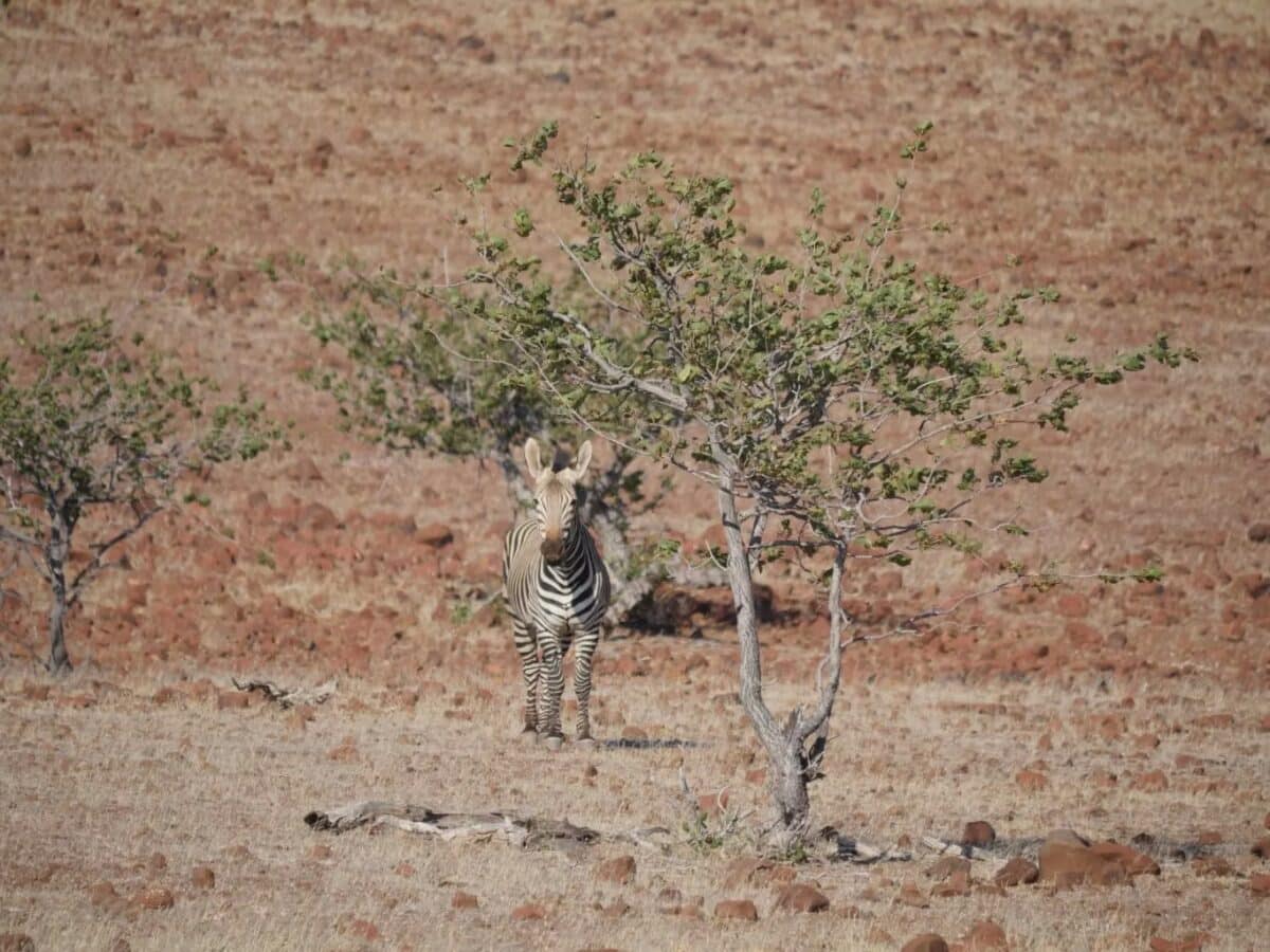 Namibia