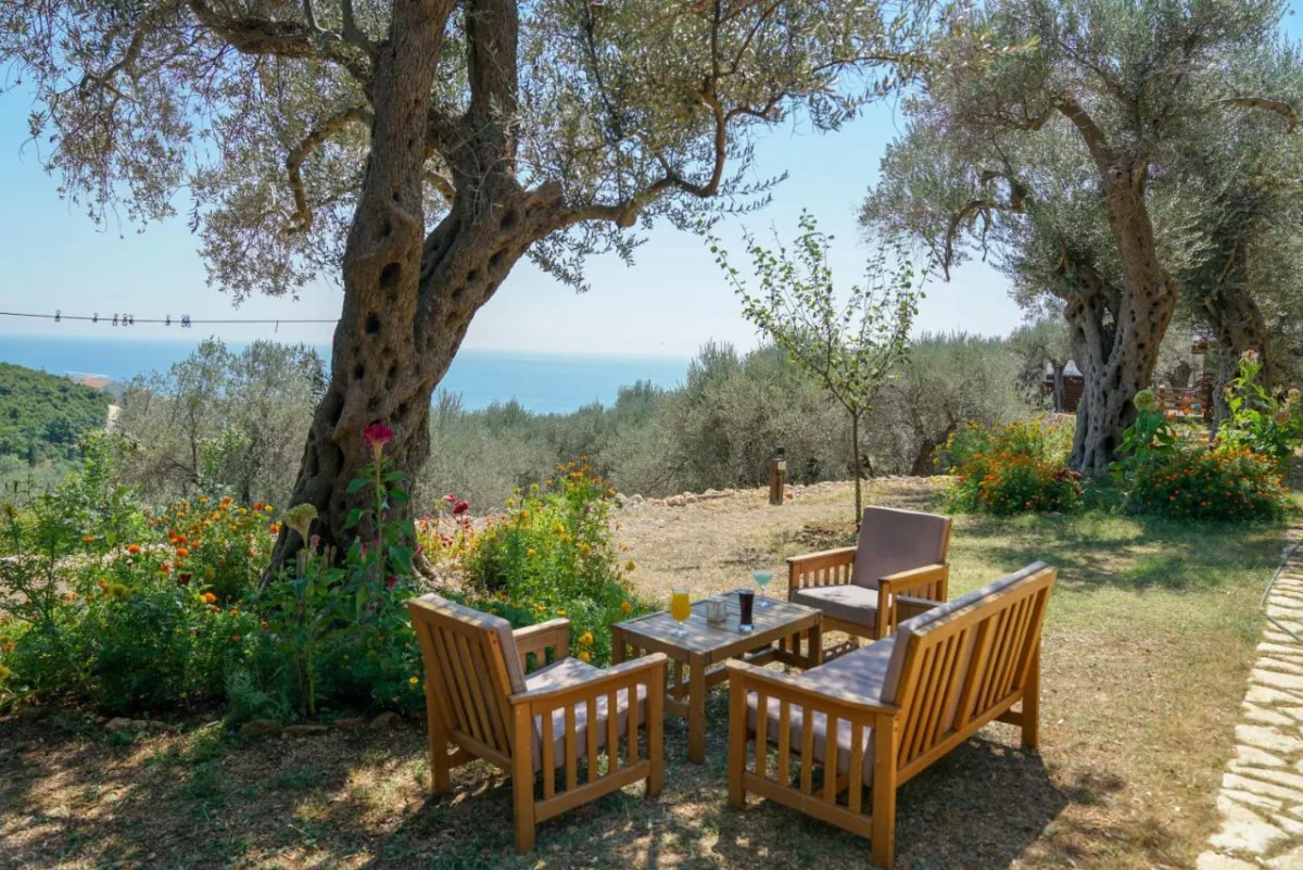 Holiday Park Olive Tree in Ulcinj