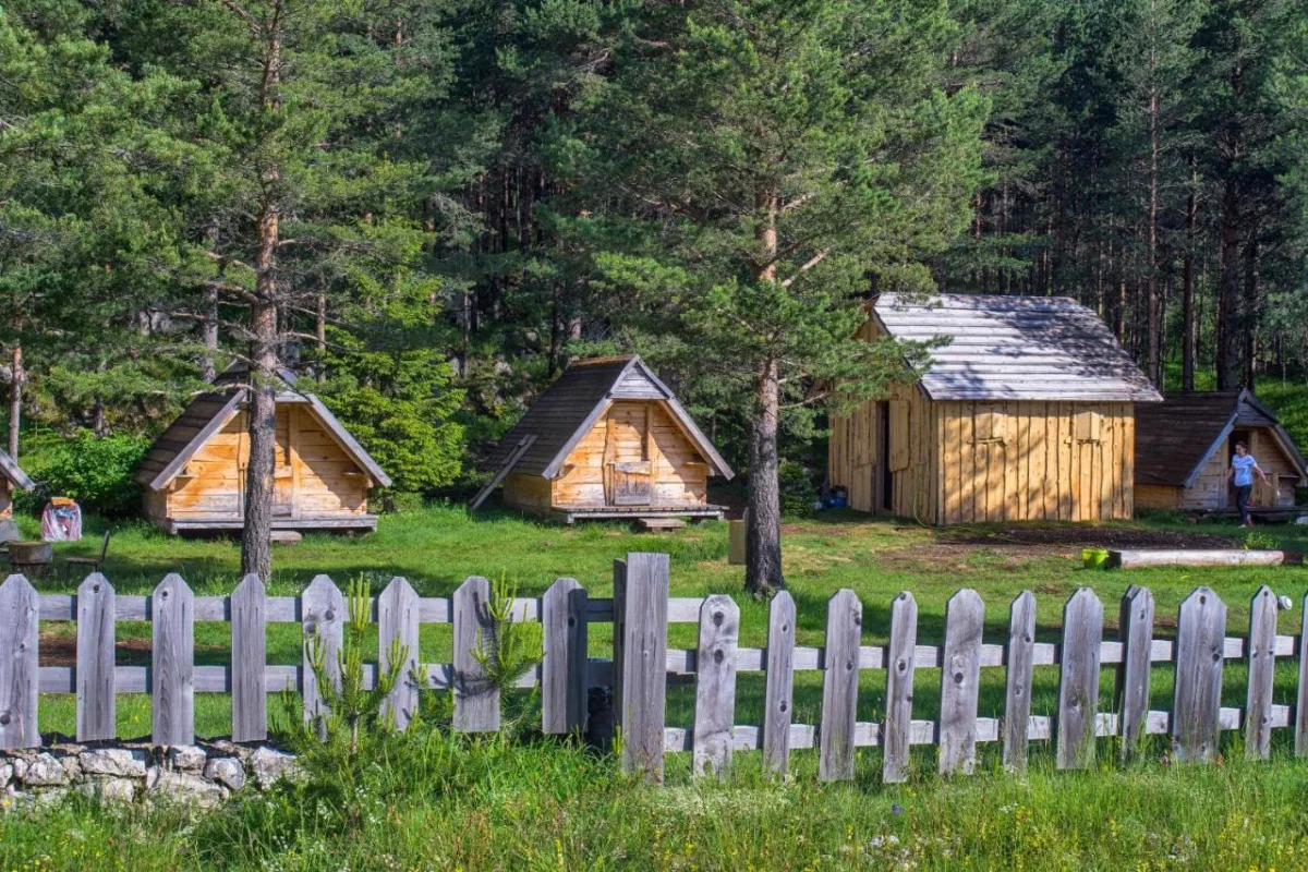 Eco camp chalets pod gorom Durmitor / Zabljak
