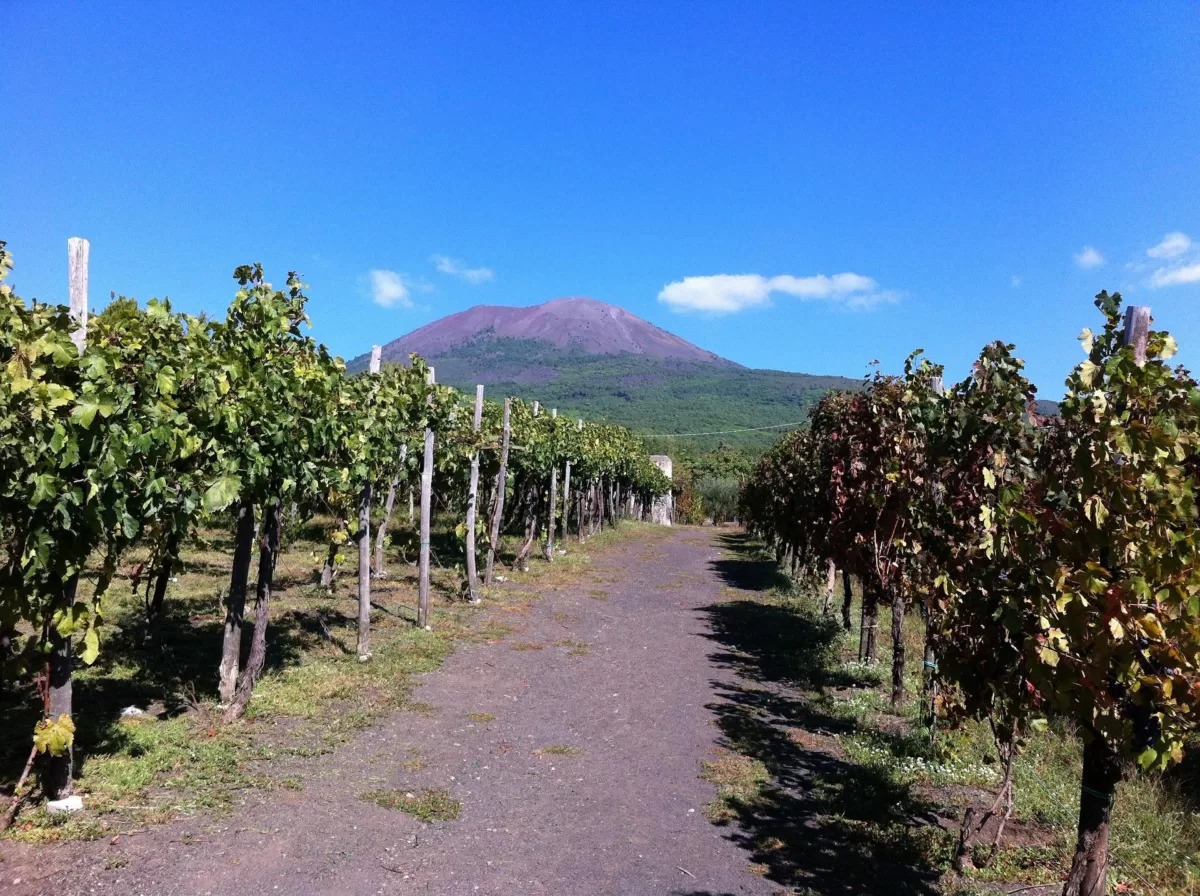 Napoli in inverno: cosa fare? I nostri consigli per preparare il viaggio vino vesuvio napoli