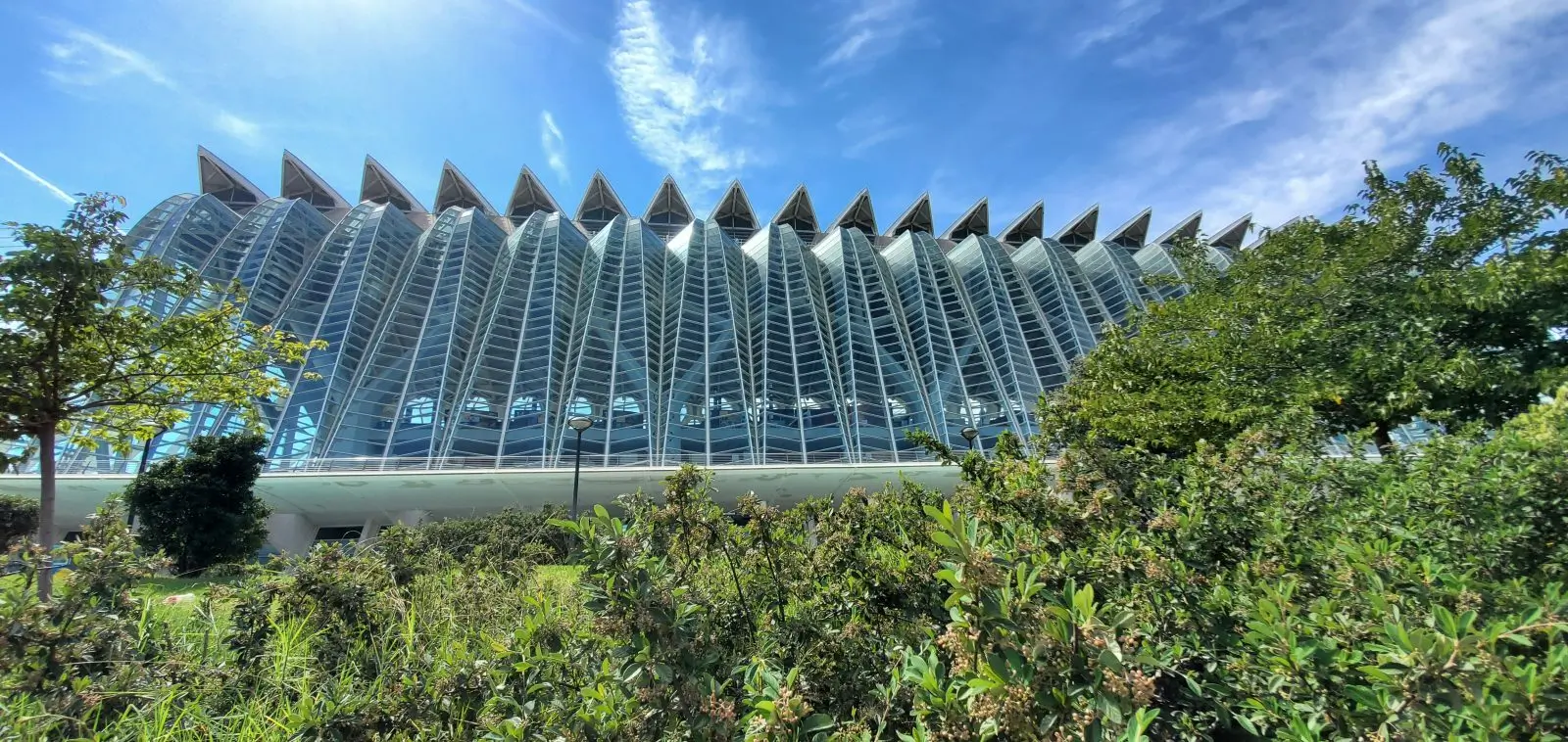 Organizza la tua visita alla Cattedrale di Sainte-Marie de Valence città delle scienze di Valence