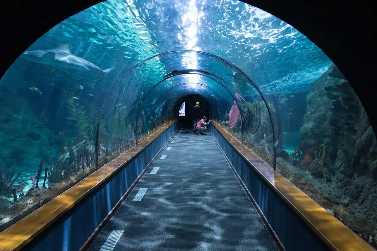 Visit Valencia (Spain) on foot, things to do and what to see in 1 or 2 days? Oceanografic museum valencia spain