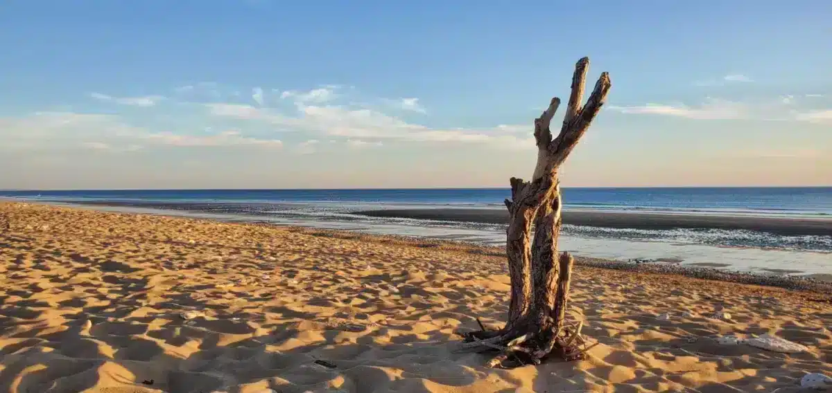 la rochelle plages