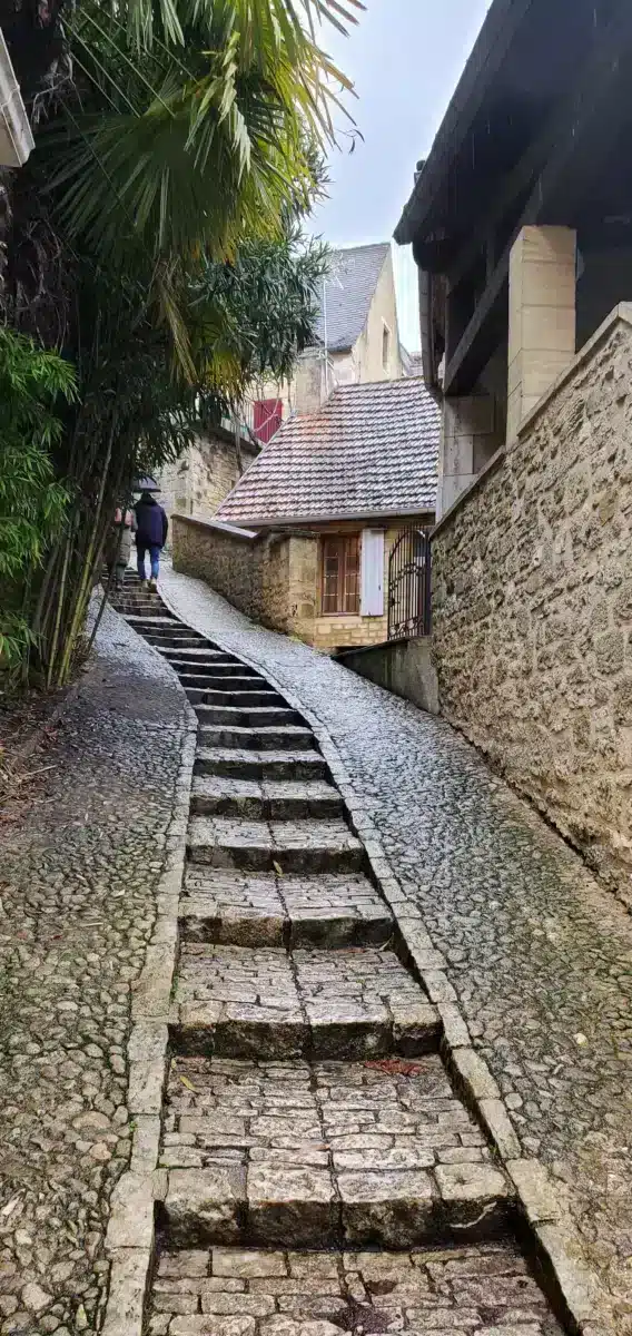 Perigord Negro: 3 días en Sarlat y alrededores, nuestro itinerario y los consejos de una perigurdina sarlat y alrededores