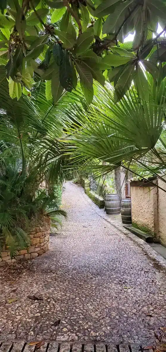 Perigord Negro: 3 días en Sarlat y alrededores, nuestro itinerario y los consejos de una perigurdina sarlat y alrededores