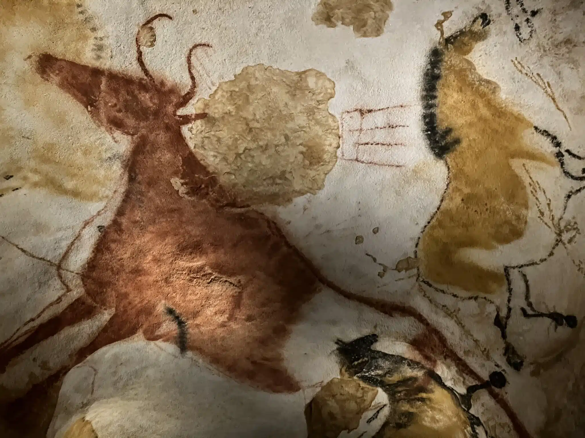 grottes de lascaux dordogne