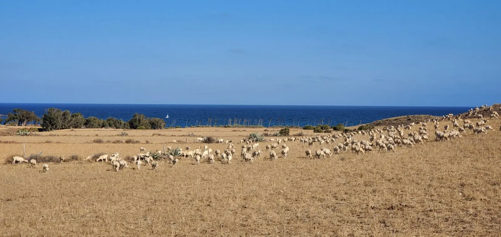 Cabo de Gata-Nijar