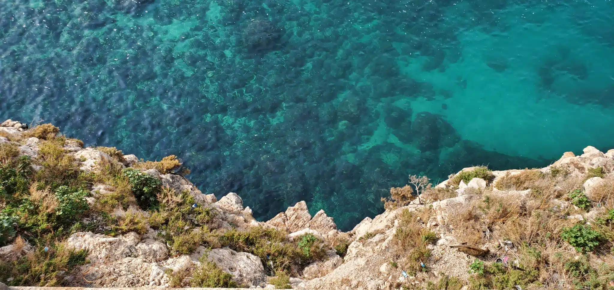 Recorrido por Europa en vehículo transformado: nuestro artículo práctico, itinerario, presupuesto e informe detallado sobre nuestros 10 meses en autocaravana Polignano a mare