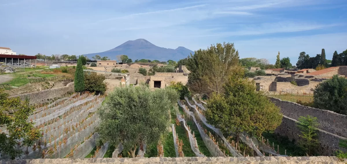 Visite el Vesubio y Pompeya en 1 día Vesubio y Pompeya,vesubio Pompeya
