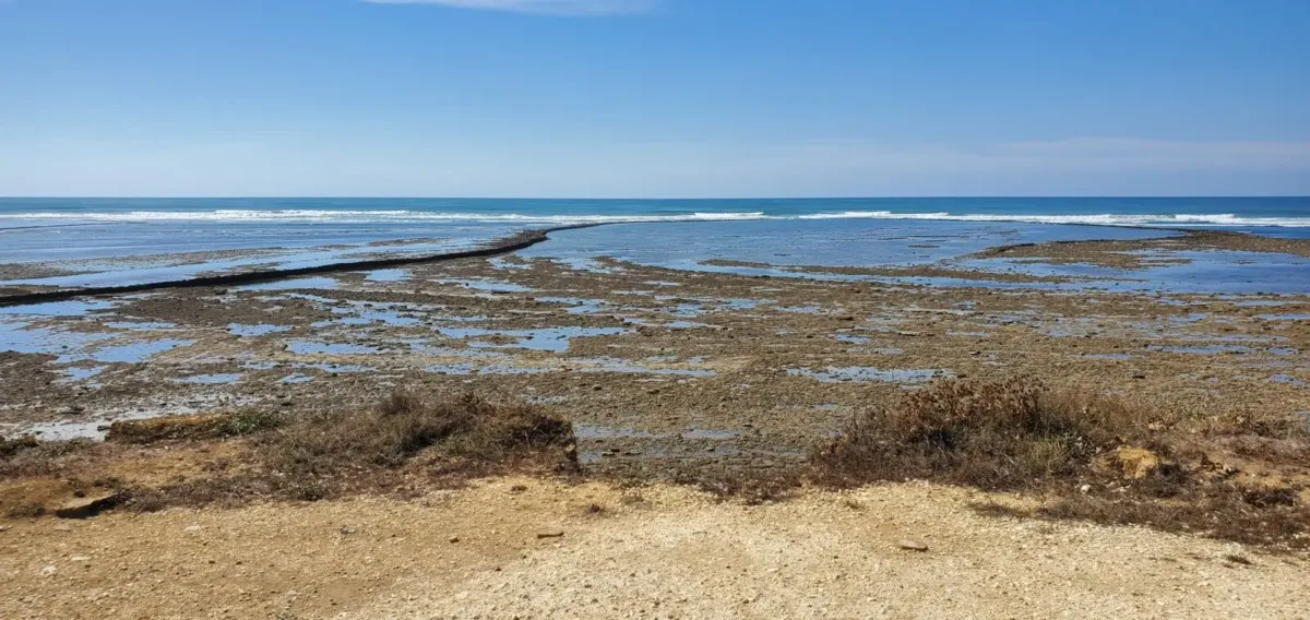 Que faire à l’île d’Oléron avec des enfants ? Nos idées testées en famille