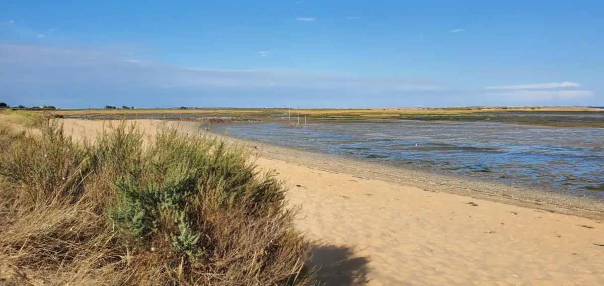 Qué hacer en la costa de Vendée Nuestras ideas de ciudades, islas y escapadas de bienestar Reserva natural Fort Royer île oléron, Moëze-Oléron