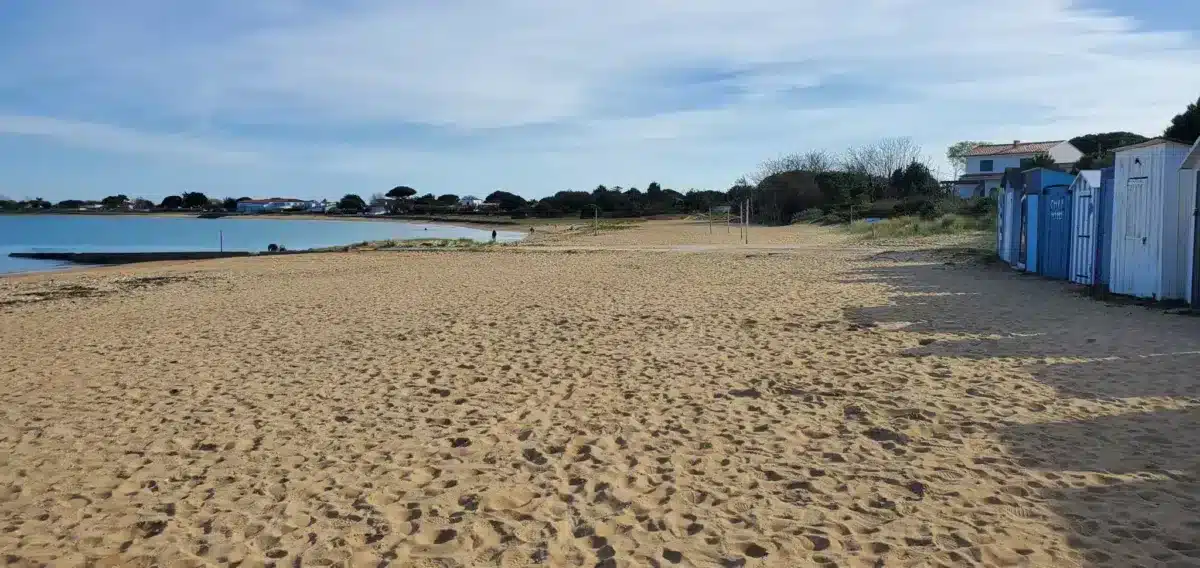 oléron plage de la Boirie