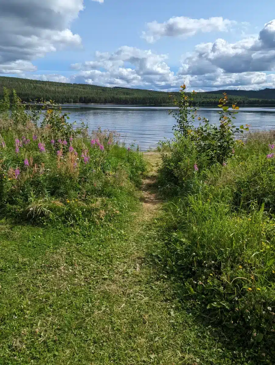 Stockholm beaches: where to swim? Our top 6 Beaches Stockholm