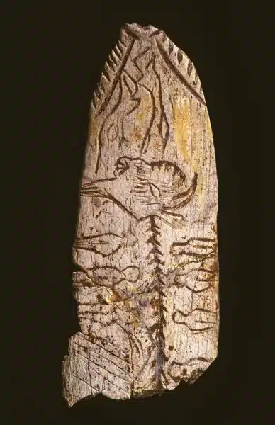 Museo de Arte y Arqueología del Périgord