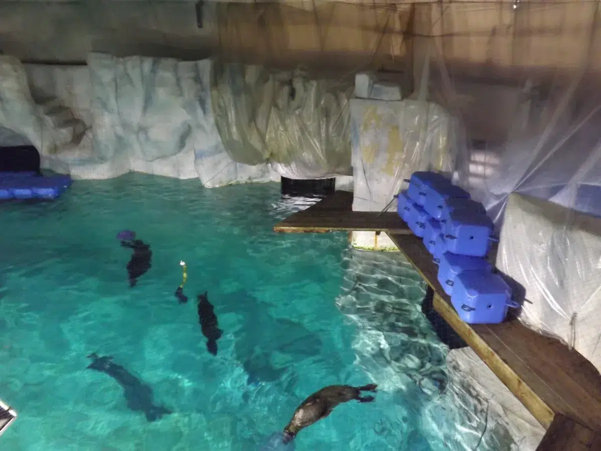 besuch aquarium valence,besuch oceanografic,aquarium valence