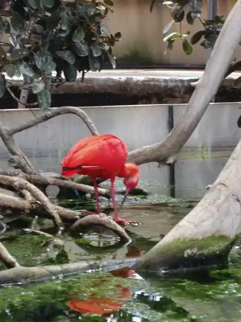 besuch aquarium valence,besuch oceanografic,aquarium valence