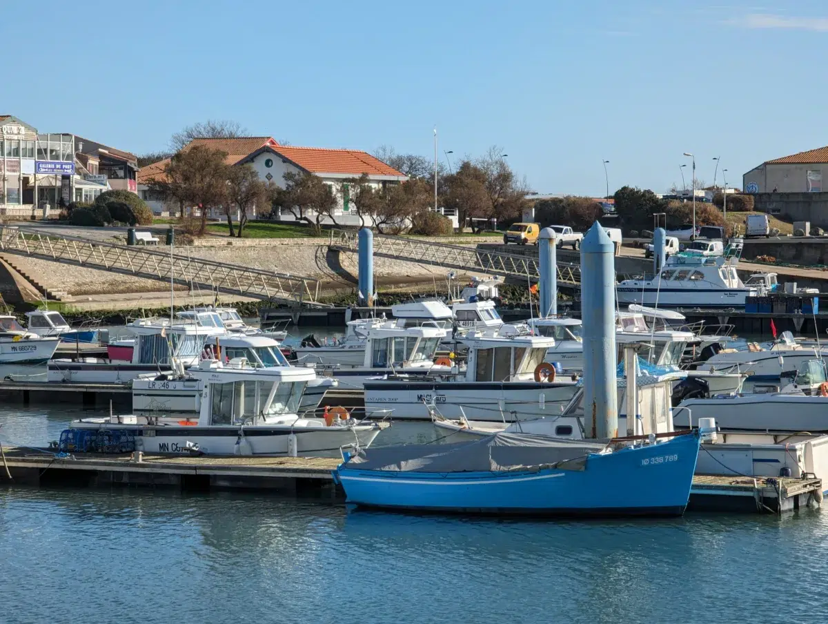 ile d'oléron port de la cotinière