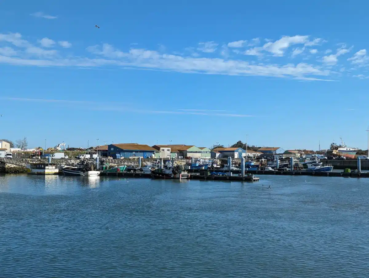 ile d'oléron port de la cotinière
