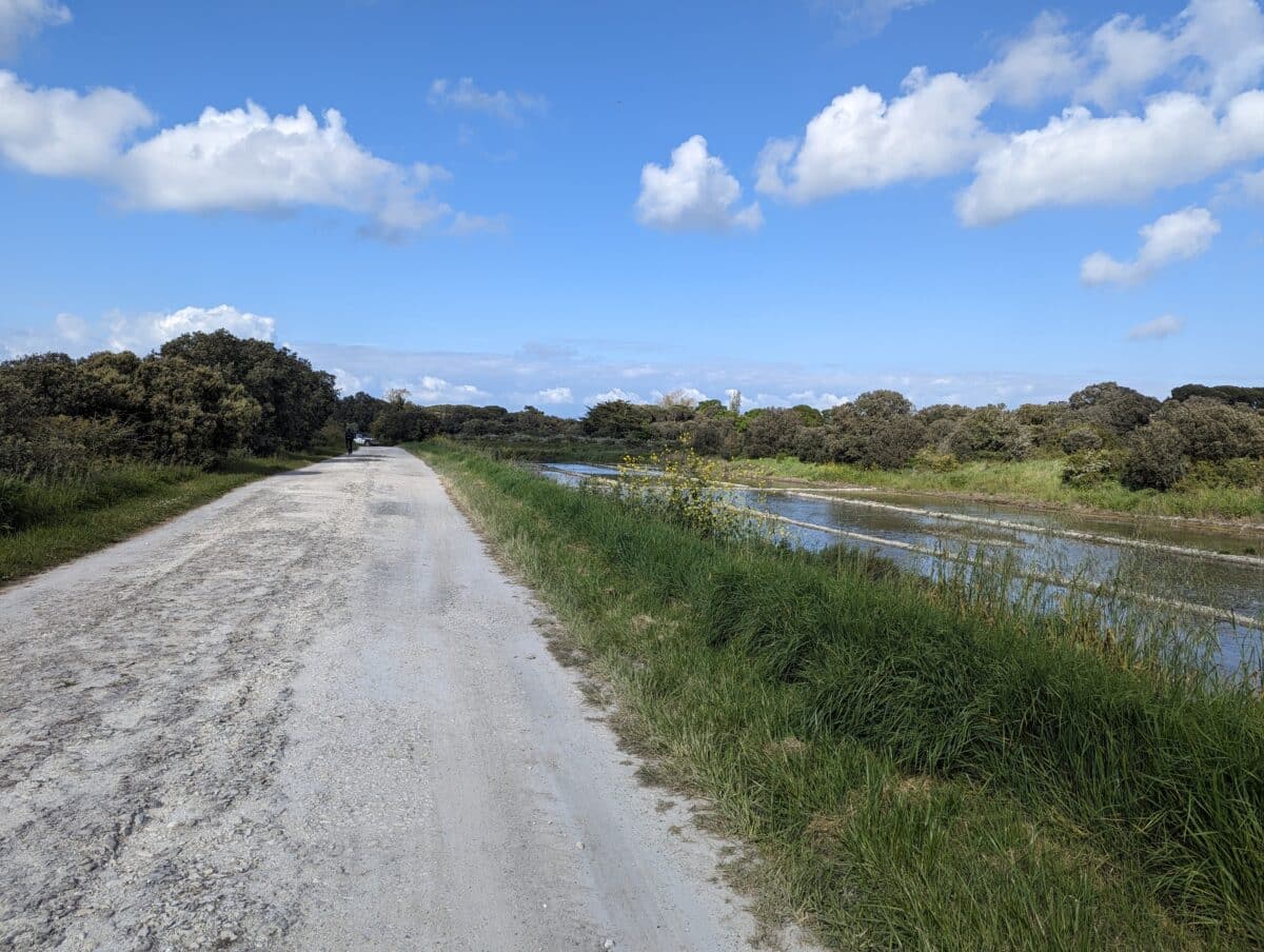 bike paths on ile oleron