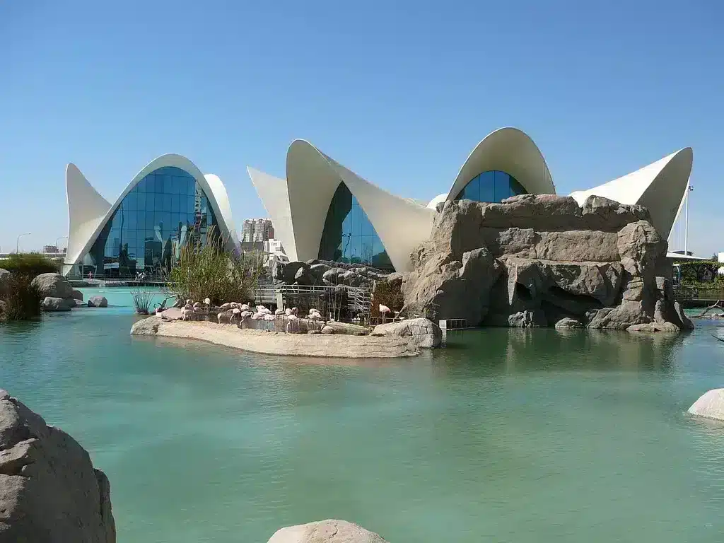 besuch aquarium valence,besuch oceanografic,aquarium valence