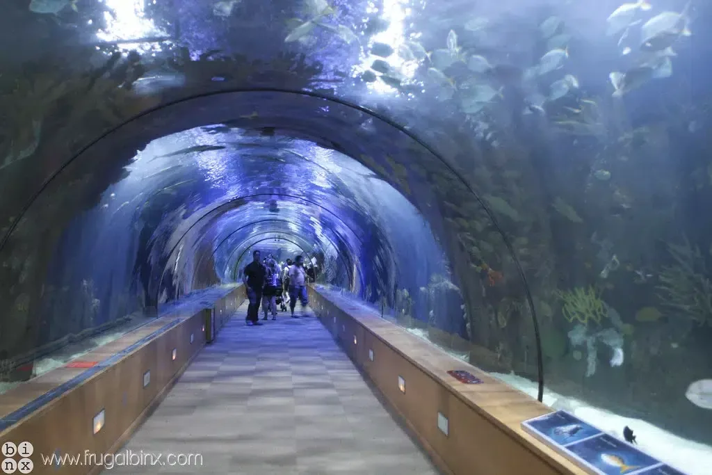 besuch aquarium valence,besuch oceanografic,aquarium valence