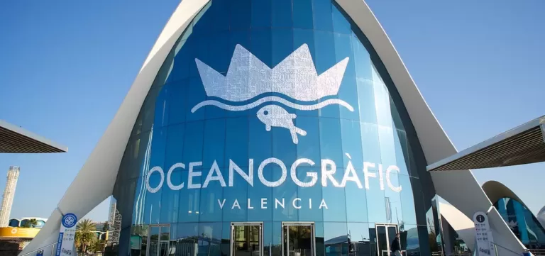 Oceanogràfic de Valence notre guide complet