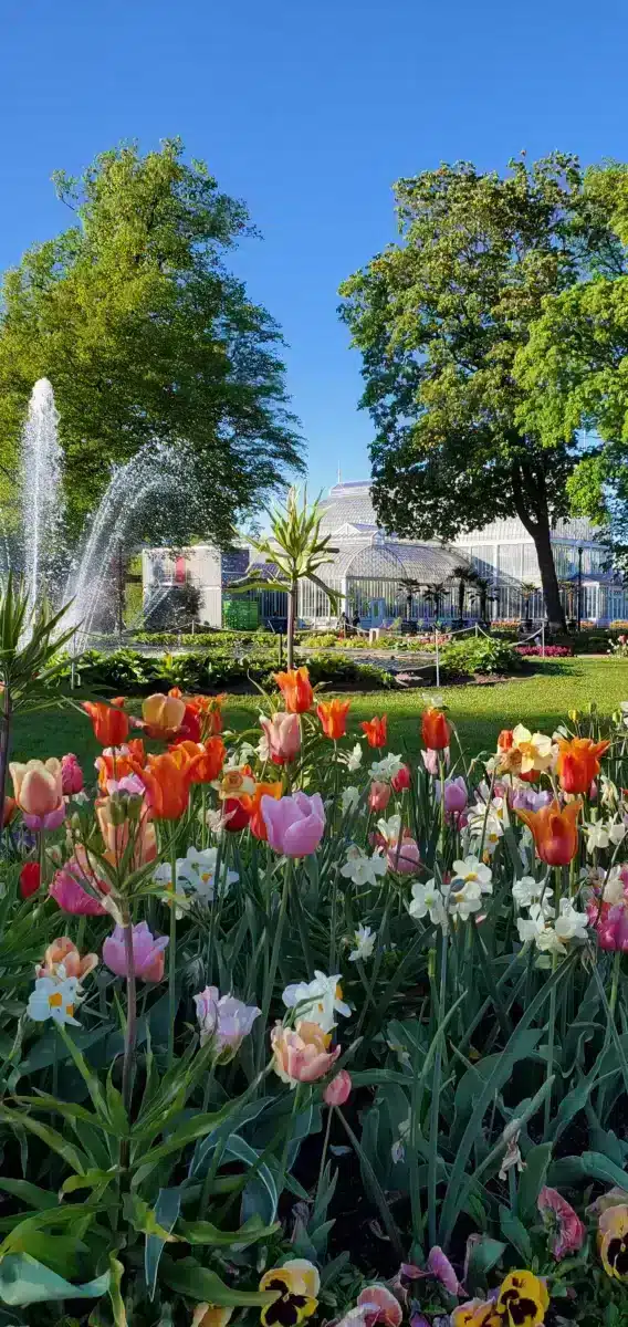 Invernadero del Jardín Botánico, Trädgårdsföreningen Gotemburgo Suecia