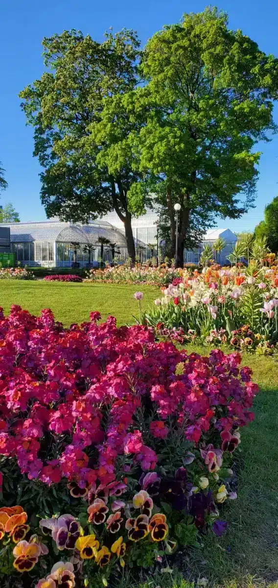 Visitar Gotemburgo en Suecia, nuestras visitas imprescindibles y nuestro itinerario para no perderse nada Invernadero del Jardín Botánico, Trädgårdsföreningen Gotemburgo Suecia