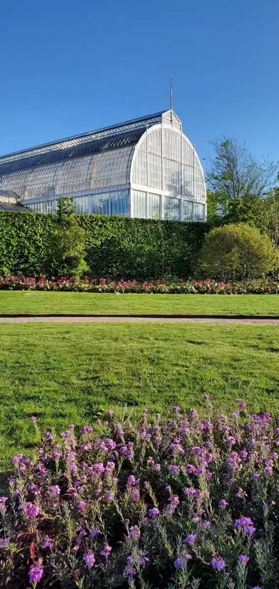 Visitar Gotemburgo en Suecia, nuestras visitas imprescindibles y nuestro itinerario para no perderse nada Invernadero del Jardín Botánico, Trädgårdsföreningen Gotemburgo Suecia