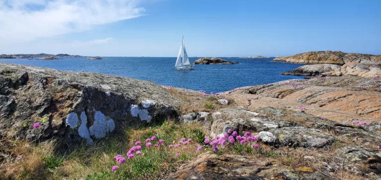 Come posso visitare l’arcipelago di Göteborg in barca? Vi raccontiamo tutto!
