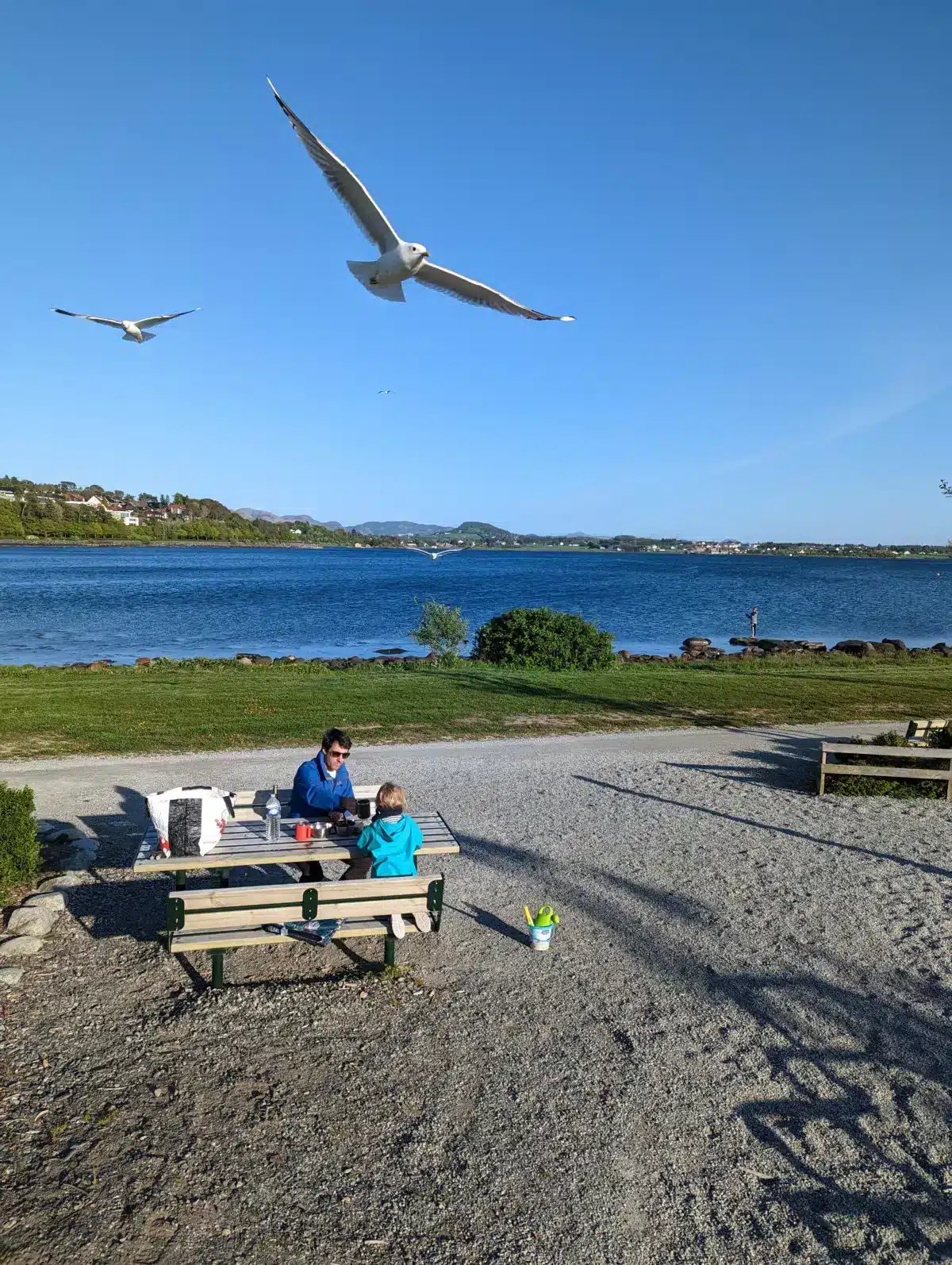 What to see and do in Stavanger, Norway? our complete guide Sverd I Fjell, Swords in the Rock, Stavanger, Norway