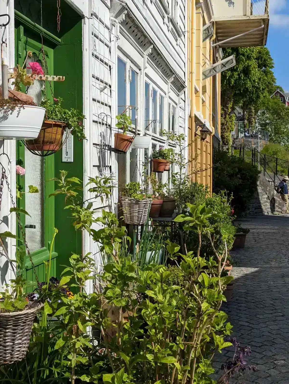 What to see and do in Stavanger, Norway? our complete guide Stavanger Gamle Stavanger, historic district Norway