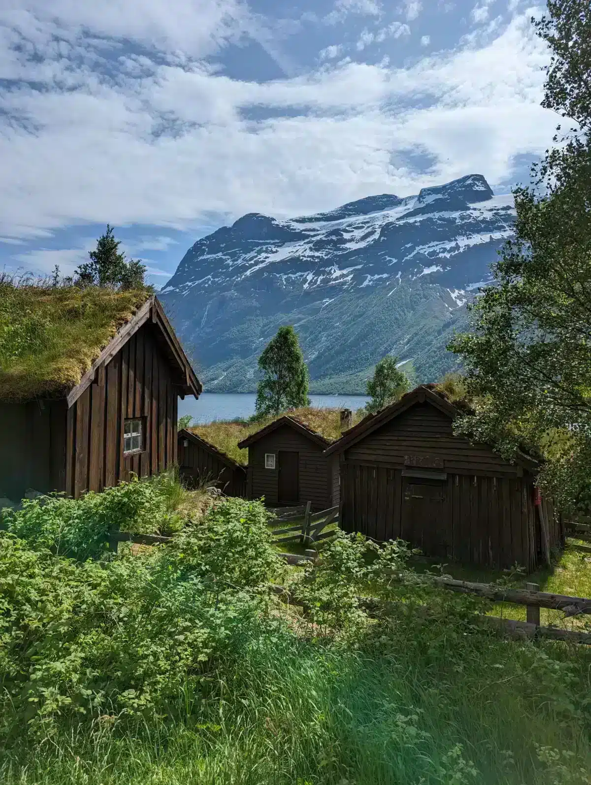 Our road trip in Scandinavia in a converted vehicle: our complete guide norvege