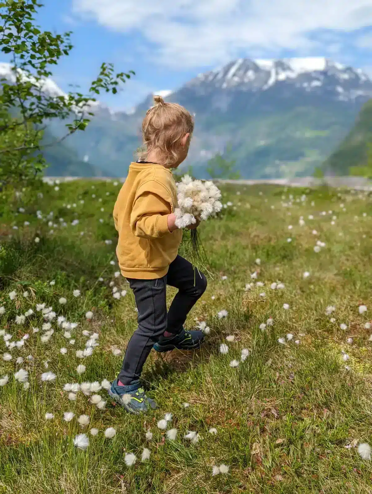 Our ranking of Norway's most beautiful fjords and our tips for your visit Geiranger Fjord Norway
