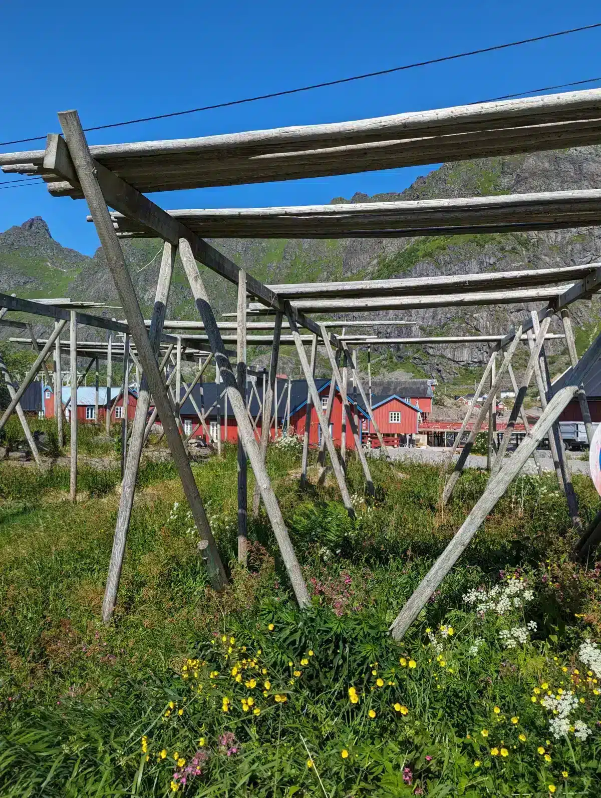 iles lofoten village A sechoir morue norvege