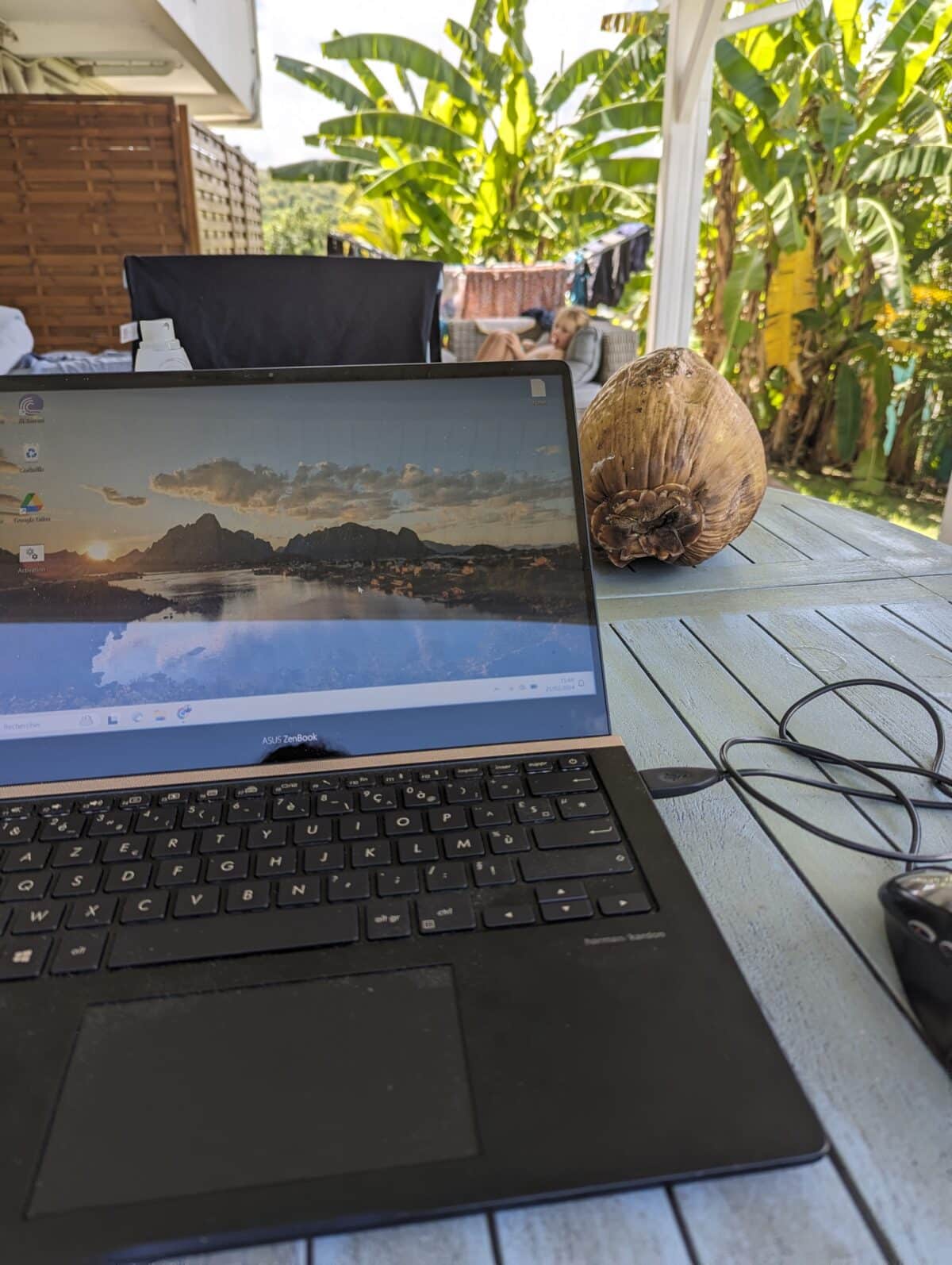 digital nomad