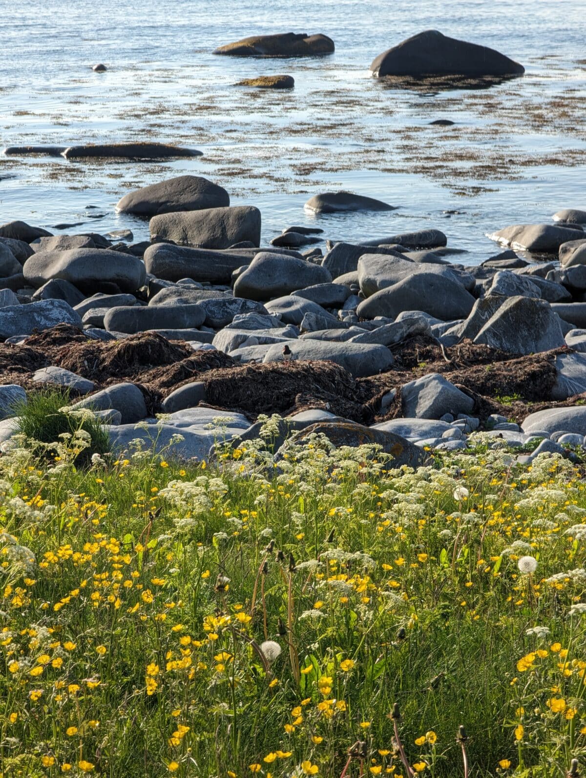 vaeroy isla de lofoten noruega