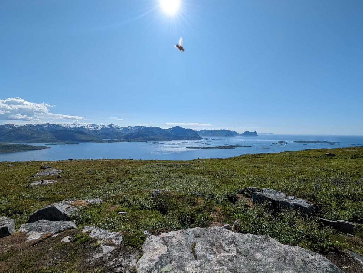 randonnée ile de senja