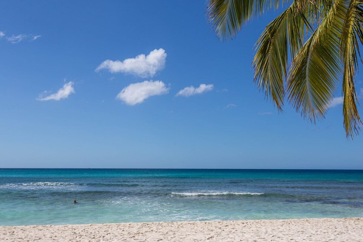 dominicana, dominican republic, sargisova sea