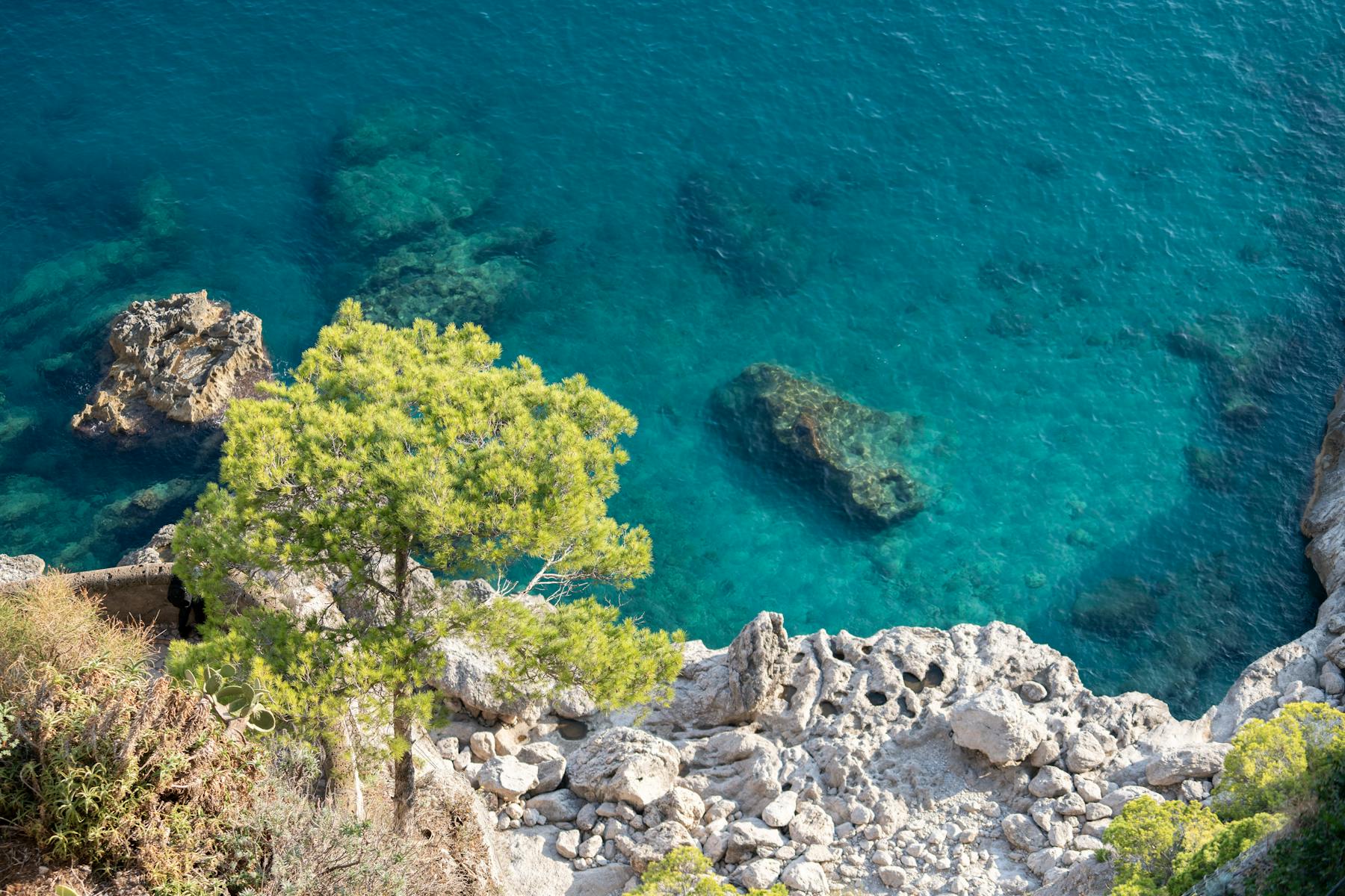 capri