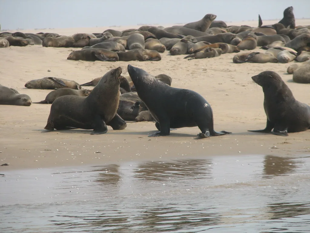 walvis bay namibie