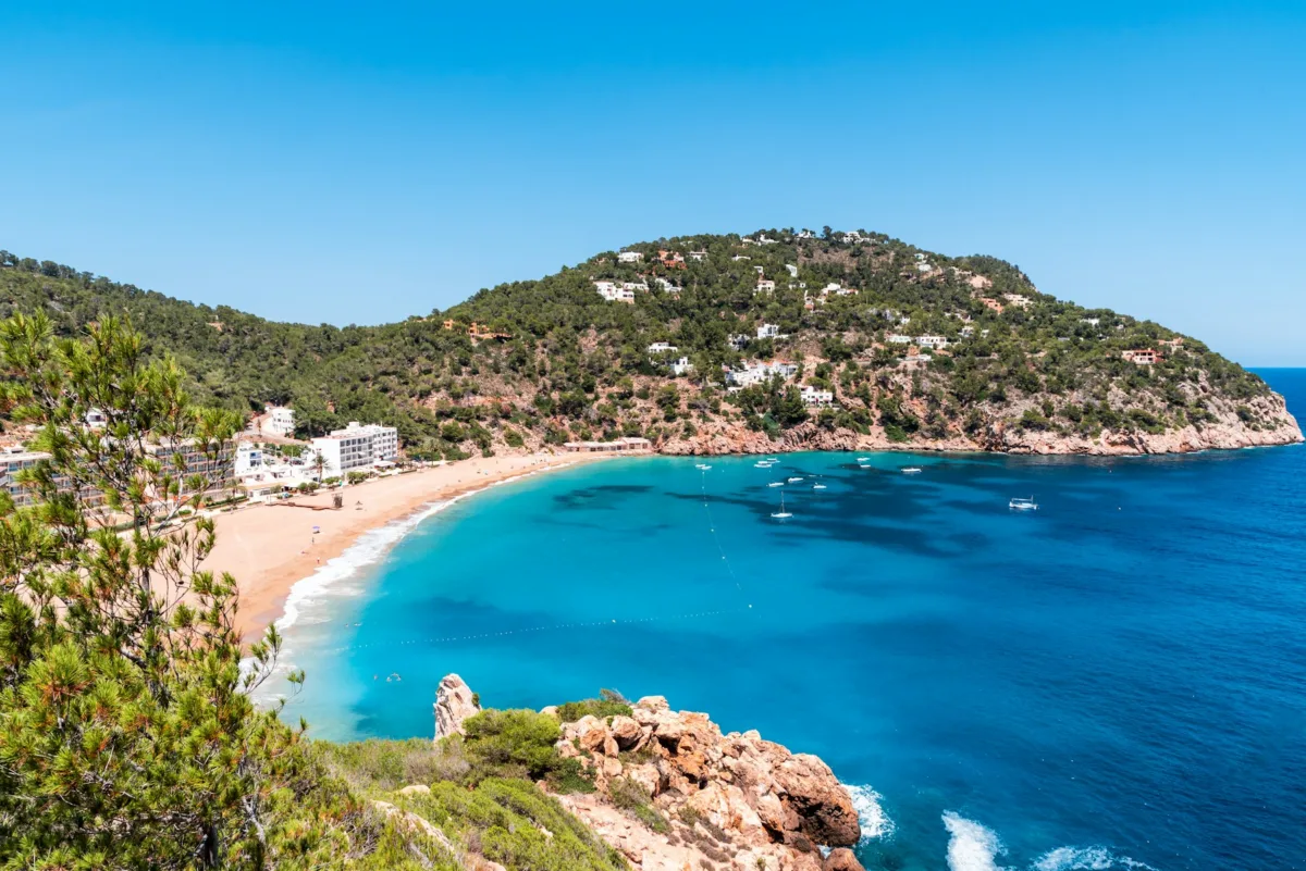 La guida definitiva di Ibiza: luoghi iconici e fughe segrete alberi verdi vicino a uno specchio d'acqua durante il giorno