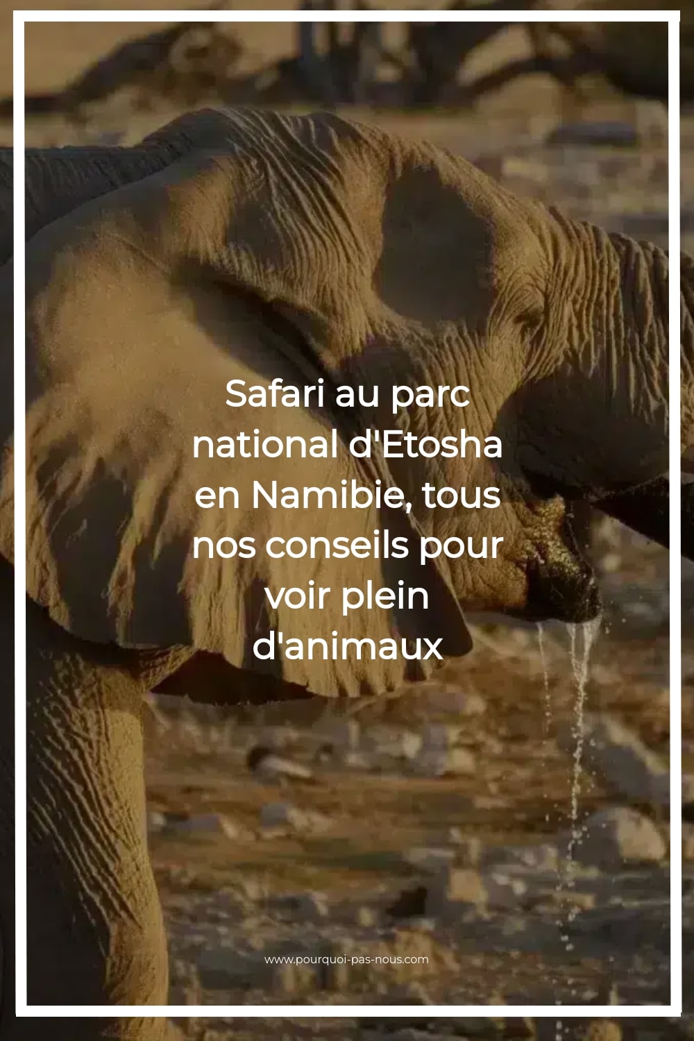 etosha