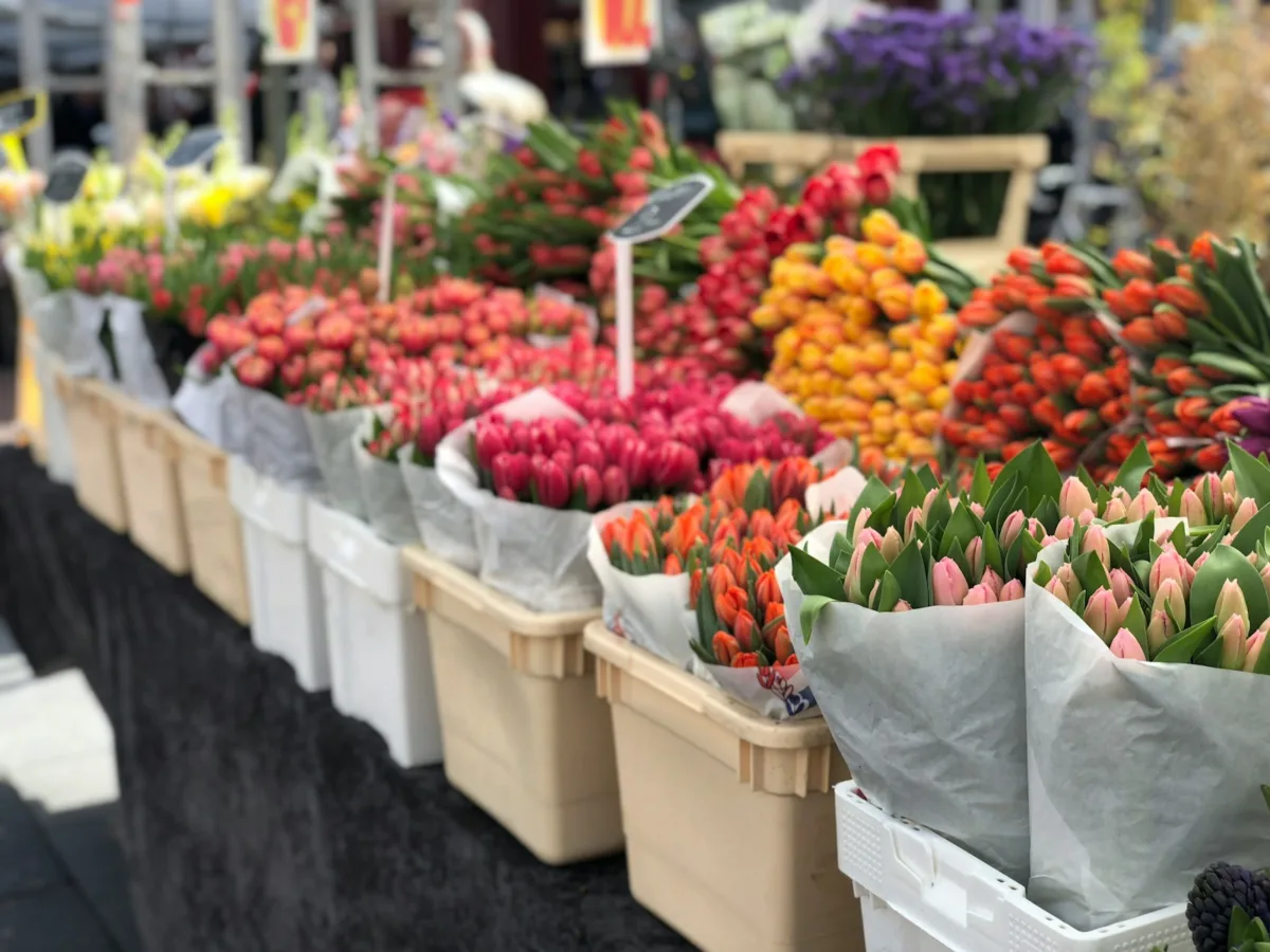 Combien de jours pour visiter Amsterdam ? amsterdam